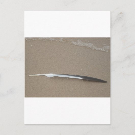 Feder Postkarte (Vorderseite)