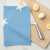 Federated Staaten of Micronesia Flag Geschirrtuch (Viertel Falte)