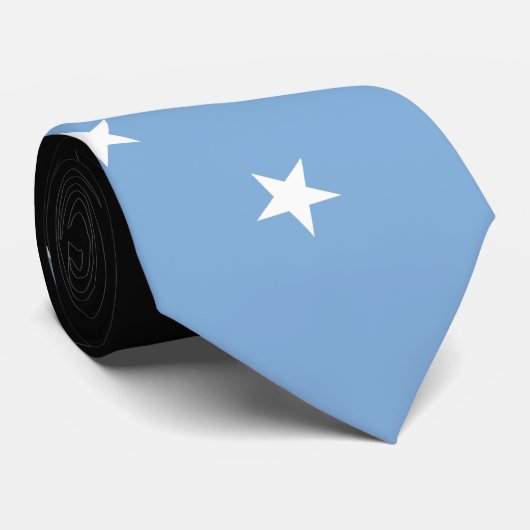 Federated Staaten of Micronesia Flag Krawatte (Gerollt)