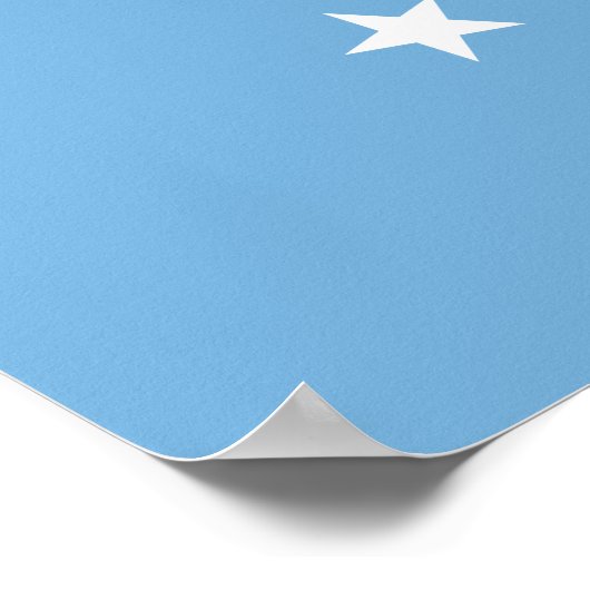 Federated Staaten of Micronesia Flag Poster (Ecke)