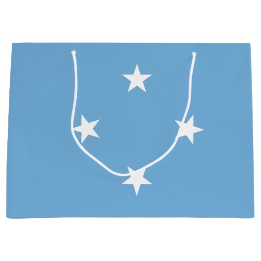 Federated States of Micronesia flag Große Geschenktüte (Vorderseite)