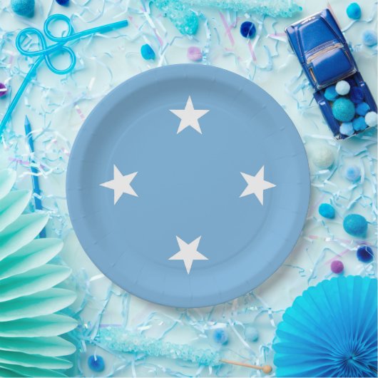 Federated States of Micronesia flag Pappteller (Party)