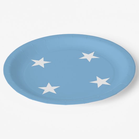 Federated States of Micronesia flag Pappteller (Schrägansicht)