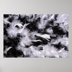 Federboa in schwarz-weißen Farben Poster