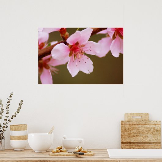 Federdruckzeichen Poster (Küche)