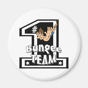 Federelement-Team Magnet