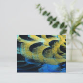 Federfläche 4 postkarte (Stehend Vorderseite)