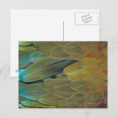 Federfläche Postkarte (Vorne/Hinten)