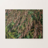 Federgetrocknete Gräser Nah Puzzle (Horizontal)