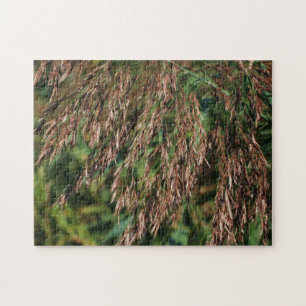 Federgetrocknete Gräser Nah Puzzle