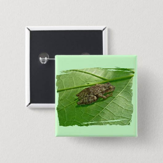 Federhalter (Pseudacris-Kreuzleger) Treefrog-Eleme Button (Vorne & Hinten)