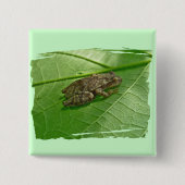 Federhalter (Pseudacris-Kreuzleger) Treefrog-Eleme Button (Vorderseite)