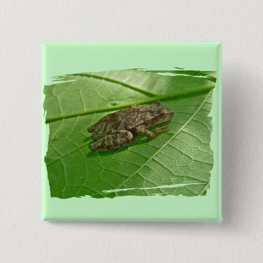 Federhalter (Pseudacris-Kreuzleger) Treefrog-Eleme Button (Vorderseite)