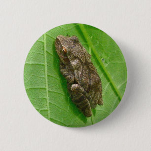 Federhalter (Pseudacris-Kreuzleger) Treefrog-Eleme Button