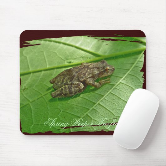 Federhalter (Pseudacris-Kreuzleger) Treefrog-Eleme Mousepad (Mit Mouse)