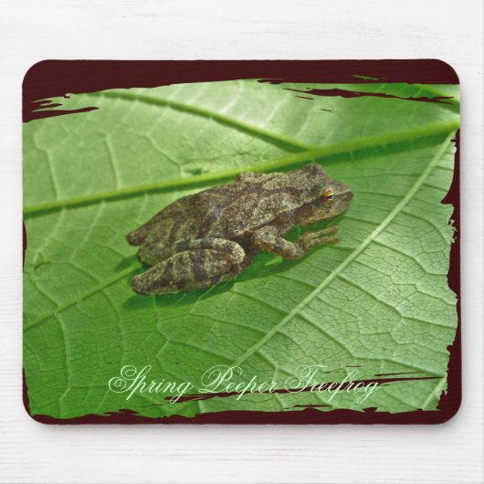 Federhalter (Pseudacris-Kreuzleger) Treefrog-Eleme Mousepad (Vorne)