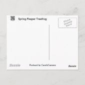 Federhalter (Pseudacris-Kreuzleger) Treefrog-Eleme Postkarte (Rückseite)