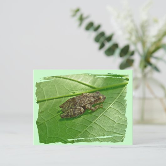 Federhalter (Pseudacris-Kreuzleger) Treefrog-Eleme Postkarte (Stehend Vorderseite)