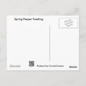 Federhalter (Pseudacris-Kreuzleger) Treefrog-Eleme Postkarte (Rückseite)