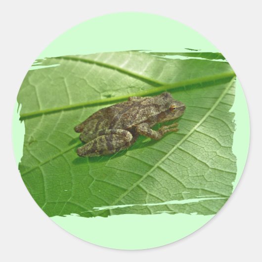 Federhalter (Pseudacris-Kreuzleger) Treefrog-Eleme Runder Aufkleber (Vorderseite)