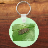 Federhalter (Pseudacris-Kreuzleger) Treefrog-Eleme Schlüsselanhänger (Vorderseite)