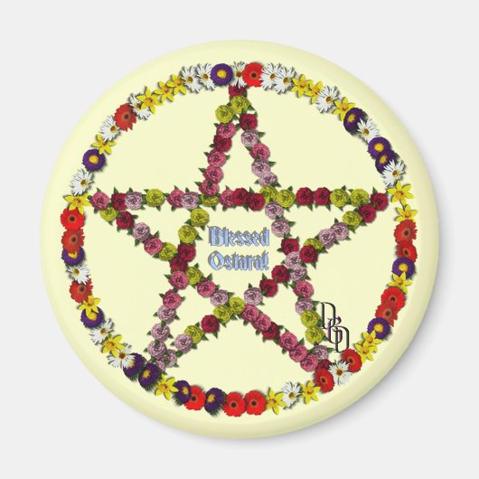 Federhalterung Magnet (Vorne)