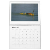 FedericoArts 2015 Medien-Kalender Kalender (Mär 2027)