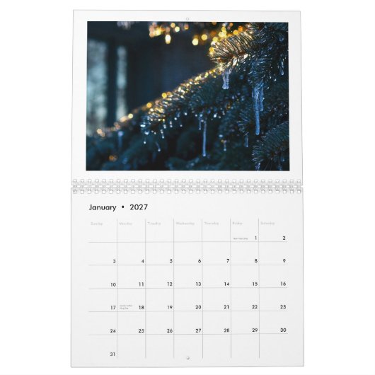 FedericoArts 2015 Medien-Kalender Kalender (Jan 2027)