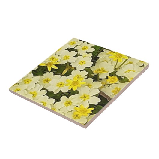 Federkeile Keramik Fliese (Seite)