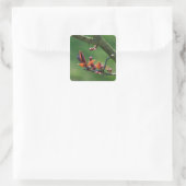 Federkleber Quadratischer Aufkleber (Tasche)