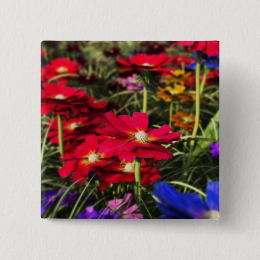 Federknopf Button (Vorderseite)