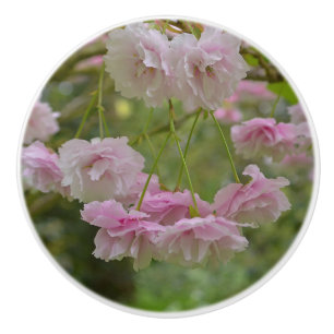 Federkraut-Blossom-Druckknopf Keramikknauf
