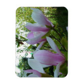 Federlicht lila magnolische Blume Magnet (Vertikal)