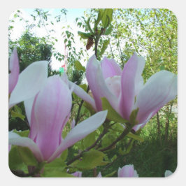 Federlicht lila magnolische Blume Quadratischer Aufkleber