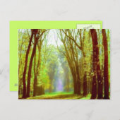 Federlicht Postkarte (Vorne/Hinten)