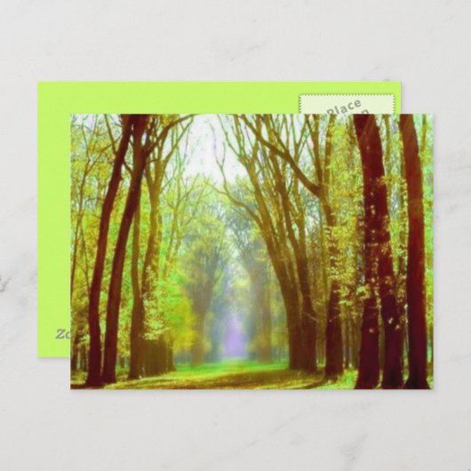 Federlicht Postkarte (Vorne/Hinten)