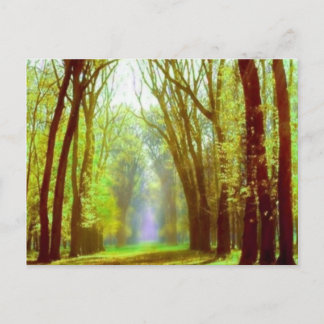 Federlicht Postkarte