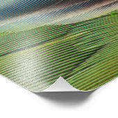 Federmuster Fotodruck (Ecke)
