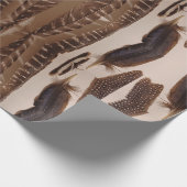 Federn Geschenkpapier (Ecke)