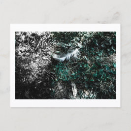 Federn im Wald von Jeffrey H. Thornton:  Postkarte