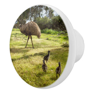 Federn und Fußstapfen: Ein Emu-Vater mit Chicks Keramikknauf