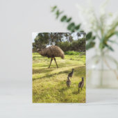 "Federn und Fußstapfen: Vater Emu mit Jungen Postkarte (Stehend Vorderseite)