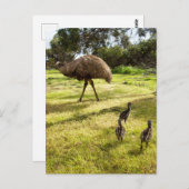 "Federn und Fußstapfen: Vater Emu mit Jungen Postkarte (Vorne/Hinten)