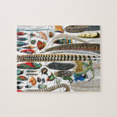 Federn von Adolphe Millot Puzzle (Horizontal)