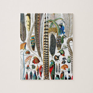 Federn von Adolphe Millot Puzzle