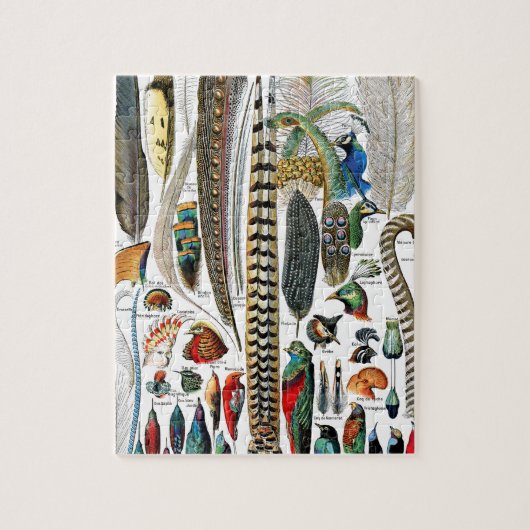 Federn von Adolphe Millot Puzzle (Vertikal)
