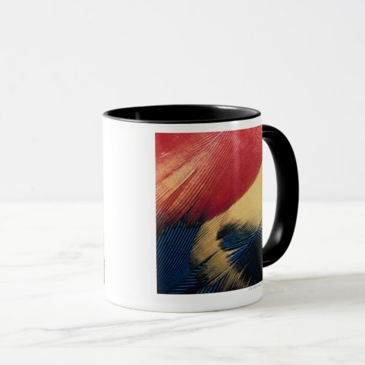 Federoberfläche 3 tasse (VorderseiteRechts)