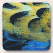 Federoberfläche 4 untersetzer (Vorderseite)