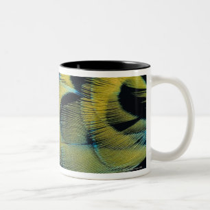 Federoberfläche 4 zweifarbige tasse