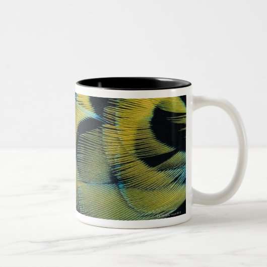 Federoberfläche 4 zweifarbige tasse (Rechts)